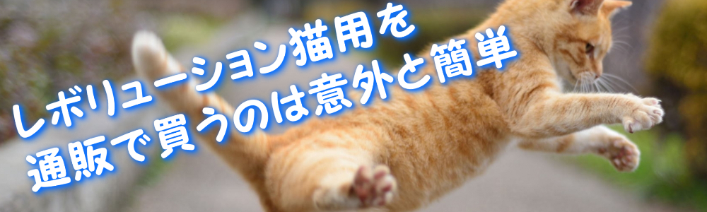 ���{�����[�V�����L�p��ʔ̂Ŕ����͈̂ӊO�ƊȒP